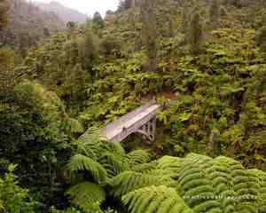 BRIDGE TO NOWHERE – a battle with nature lost « envirohistory NZ