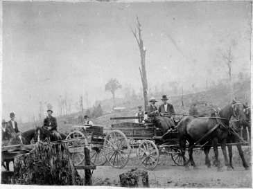 This image taken by Charles E. Wildbore circa 1907 shows the rural mail delivery that operated in the Pohangina Valley. The background of scorched, leafless tree trunks and limbs draws the eye of the environmental historian. Palmerston North City Library, ID 2007N_Poh2_RTL_0852