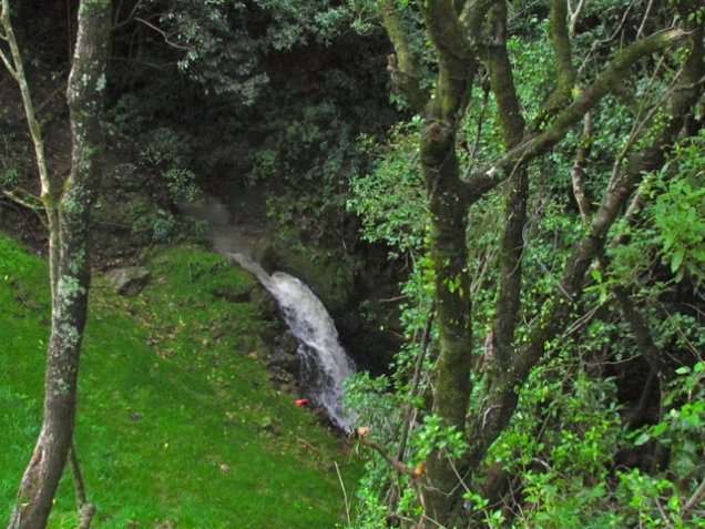 Waterfall of Waterfall Road, Kapiti. 